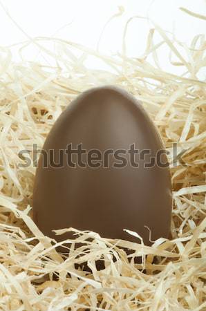 Chocolate Easter Egg Stock photo © deyangeorgiev