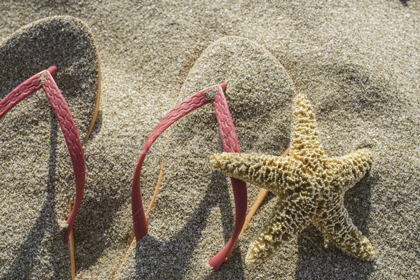 Sandals on the beach in the sand Stock photo © deyangeorgiev