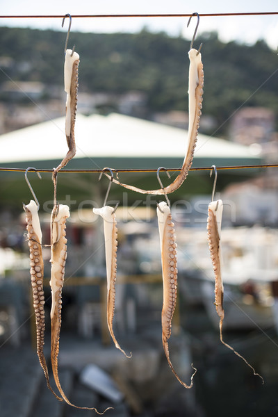 Сток-фото: осьминога · лодках · веревку · продовольствие · природы · лет