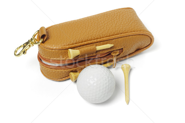 Golf accessories Stock photo © dezign56