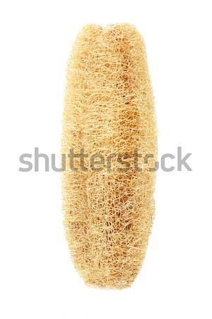 Luffa Sponge Stock photo © dezign56