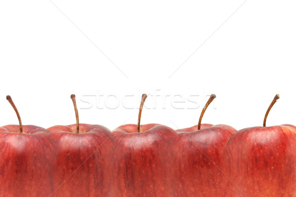 Red apples border Stock photo © dezign56