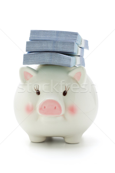 Stacks of money on back of Piggy bank  Stock photo © dezign56