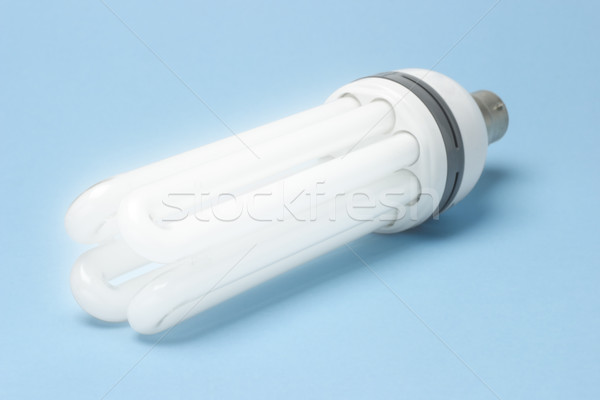 Energia eficiente fluorescente lâmpada azul Foto stock © dezign56