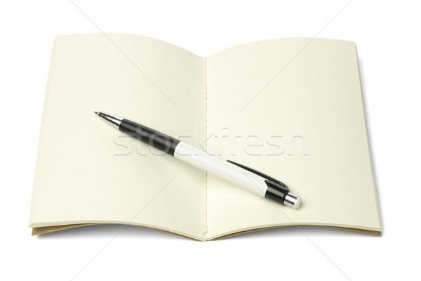 Thread Sew Book and Ball Point Pen Stock photo © dezign56