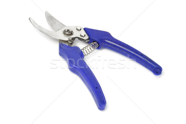 Gardening Shear Stock photo © dezign56