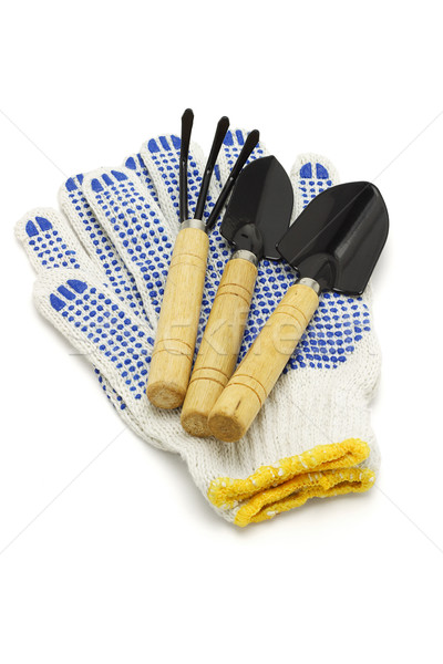 Tuin tools katoen handschoenen witte hout Stockfoto © dezign56