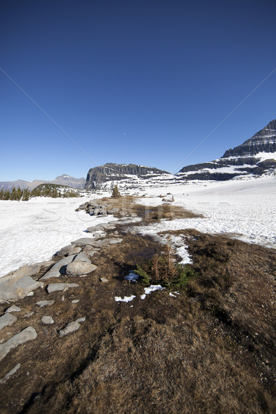 Glacier National Park Stock photo © dgilder