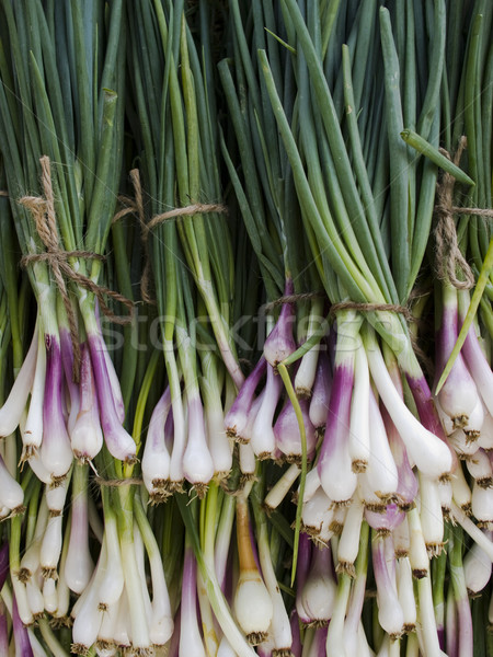 produce - organic green onions background Stock photo © dgilder