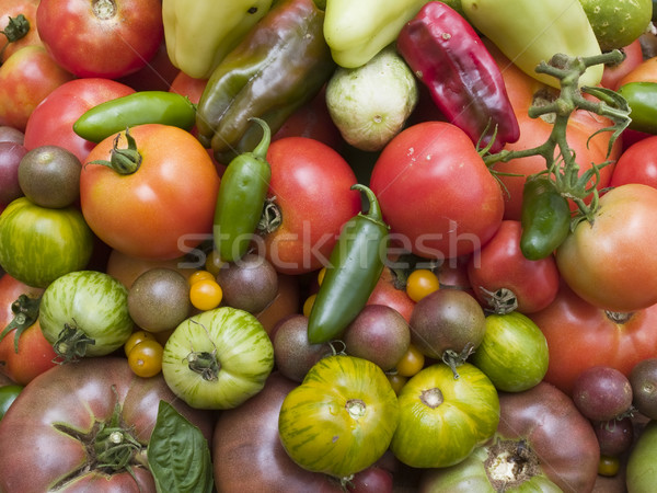 background - organic vegetables Stock photo © dgilder