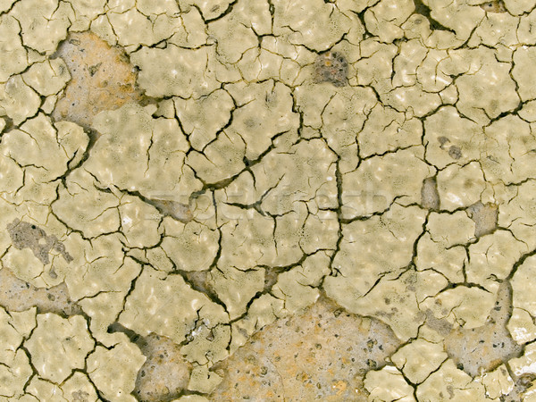 Macro textuur aarde drogen gebarsten voorraad Stockfoto © dgilder