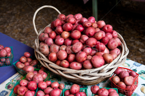 Markt rot Kartoffeln Stock foto © dgilder