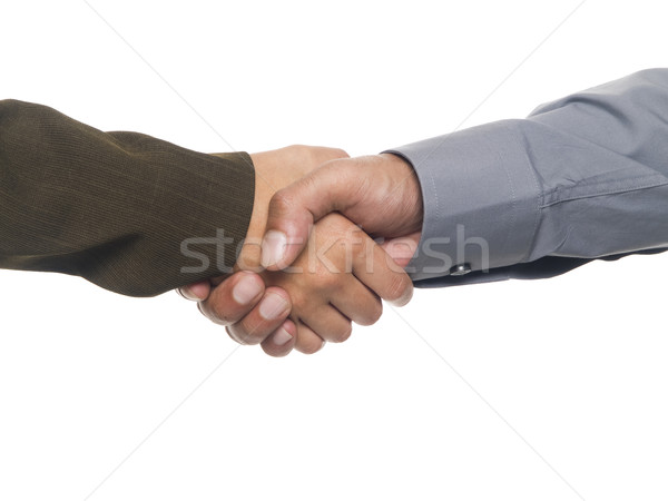 businesspeople - handshake Stock photo © dgilder