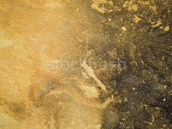 macro texture - stone - mottled Stock photo © dgilder