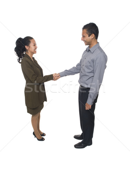 businesspeople - handshake Stock photo © dgilder