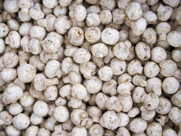 Produce organic ciuperci afişa agricultorii piaţă Imagine de stoc © dgilder