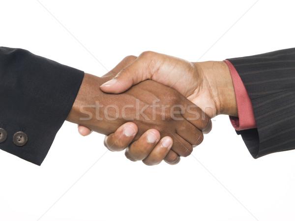 businesspeople - handshake seal the deal Stock photo © dgilder