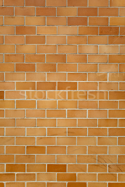 backgrounds - brick wall Stock photo © dgilder