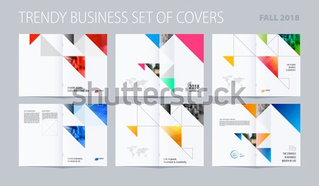Mega Set abstrakten Vorlagen Business trendy Stock foto © Diamond-Graphics