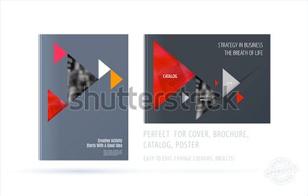 Download Brochure design triangular template. Colourful modern ...