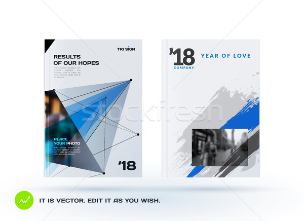 Set of design of brochure, abstract annual report, cover. Stock photo © Diamond-Graphics