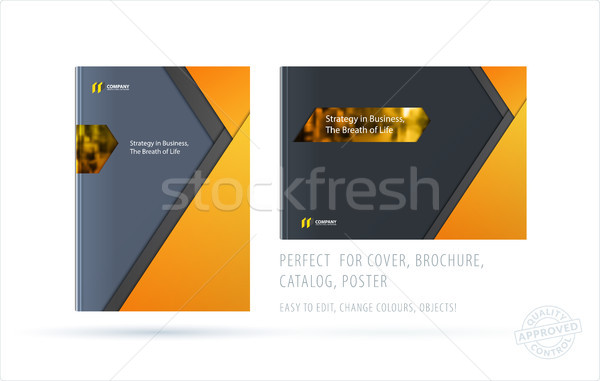 Abstract double-page brochure material design style with colourful layers for branding. Business vec Stock photo © Diamond-Graphics