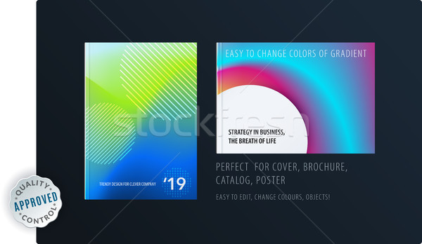 Abstract colourful graphic design of brochure in fluid liquid style with blurred smooth background.  Stock photo © Diamond-Graphics