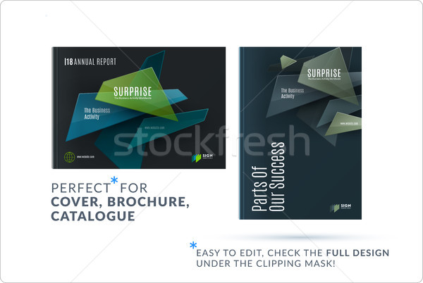 Business set of design brochure, abstract annual report, horizontal cover layout, flyer in A4 with v Stock photo © Diamond-Graphics