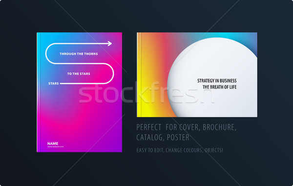 Abstract colourful graphic design of brochure in fluid liquid style with blurred smooth background.  Stock photo © Diamond-Graphics