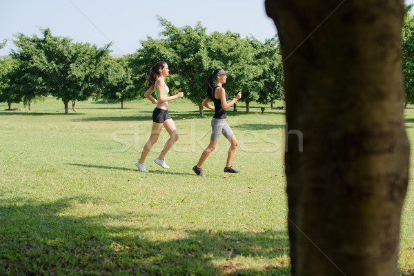 Stockfoto: Sport · twee · jonge · vrouwen · jogging · stad · park