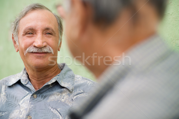 Twee senior vrienden vergadering praten park Stockfoto © diego_cervo