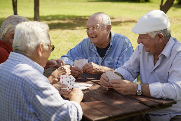 Active seniors, group of old friends playing cards at park Stock photo © diego_cervo