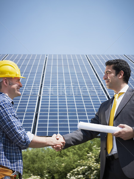 businessman and electrician shaking hands Stock photo © diego_cervo