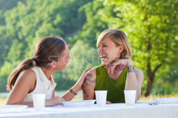 Női barátok kettő piknik kint nevet Stock fotó © diego_cervo