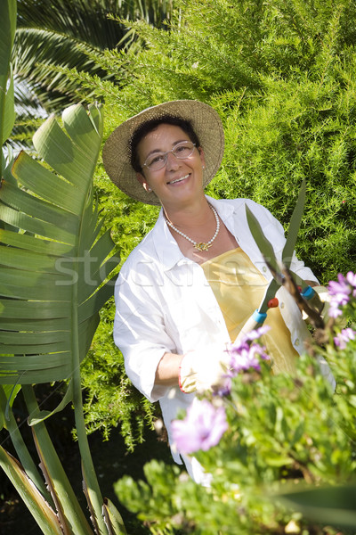 gardening Stock photo © diego_cervo