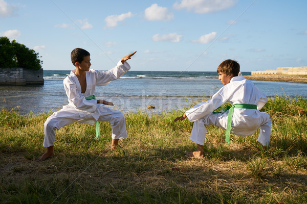 Copii pregătire karate şcoală sportiv activitate Imagine de stoc © diego_cervo
