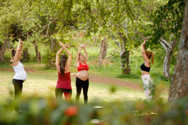 Pregnant Women Doing Yoga With Personal Trainer In Park Stock photo © diego_cervo