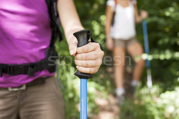 Jeunes femmes trekking forêt bâton jeunes Photo stock © diego_cervo