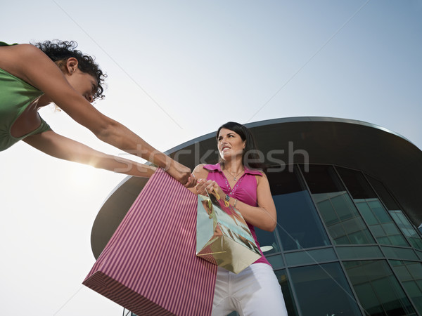 women fighting for shopping bag Stock photo © diego_cervo
