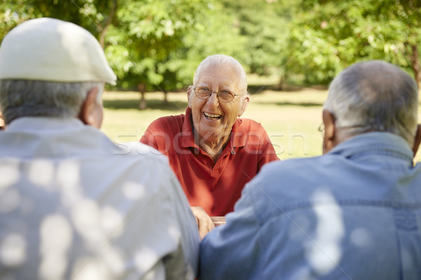 Csoport idős férfiak szórakozás nevet park Stock fotó © diego_cervo