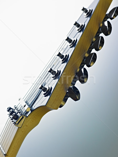 detail of electric guitar cords and frets Stock photo © diego_cervo