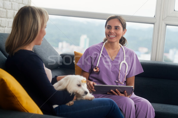 Foto stock: Veterinario · perro · propietario · mascota · casa · visitar