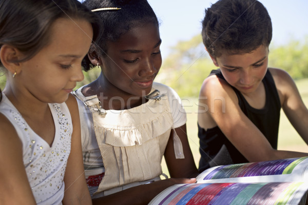 Bambini istruzione ragazzi ragazze lettura libro Foto d'archivio © diego_cervo