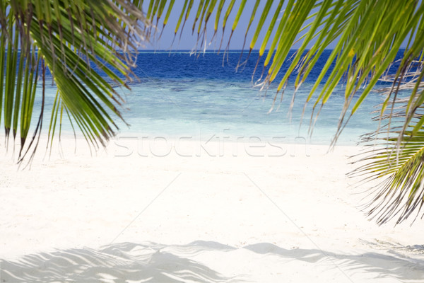 Tropikalnej plaży plaży przydatny ramki skupić niebo Zdjęcia stock © diego_cervo