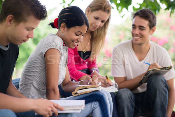 college students doing homeworks in park Stock photo © diego_cervo