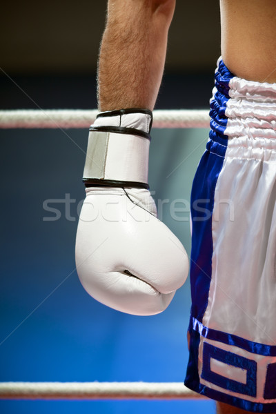 Foto d'archivio: Boxing · view · uomo · guantoni · da · boxe · copia · spazio · blu