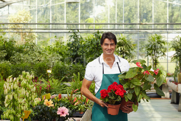 Stock foto: Blumengeschäft · Porträt · männlich · schauen · Kamera · halten