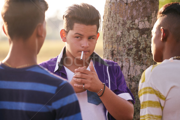 Grup adolescenţă băiat fumat ţigară prietenii Imagine de stoc © diego_cervo