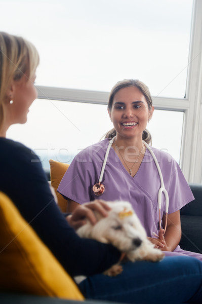 Veterinary House Call With Doctor Dog Owner And Pet Stock photo © diego_cervo