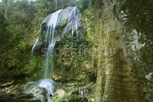 Fallen rio Kuba Wasserfall Baum Landschaft Stock foto © diego_cervo